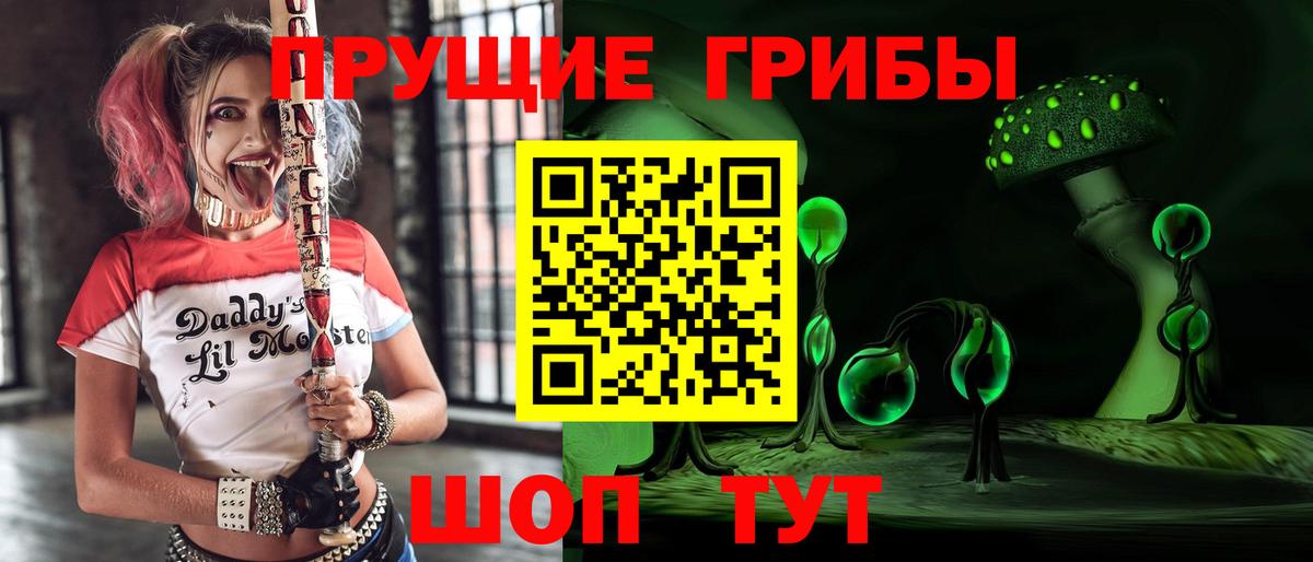Псилоцибиновые грибы мицелий Казань