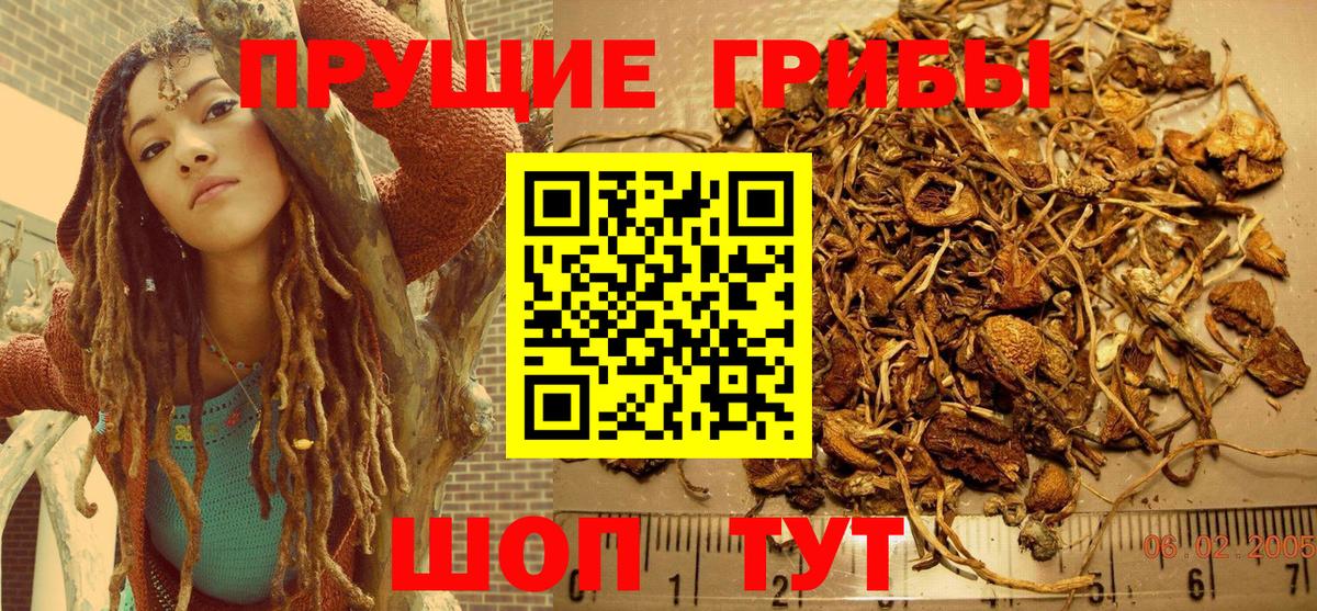 Галлюциногенные грибы мухоморы Казань